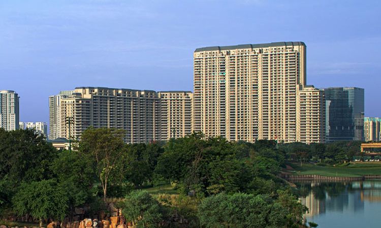 dlf camellias gurgaon price