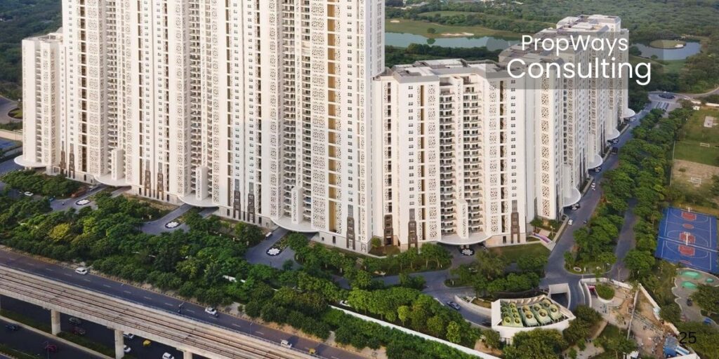 dlf camellias